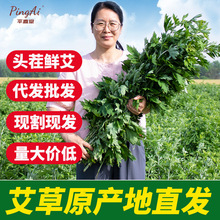 ���繝���r���~���簬�ɰ����ļ����~�������U�����T����������l