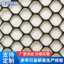 生产销售养殖塑料平网 白色养殖网 鸡鸭脚踏网 宠物笼子脚垫