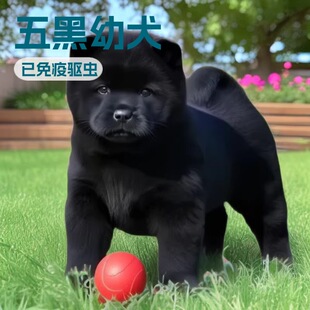 ���N�����Ȯ���w�����o�lȮ����С�����͌��ﹷ���﹤��Ȯ��HȮ