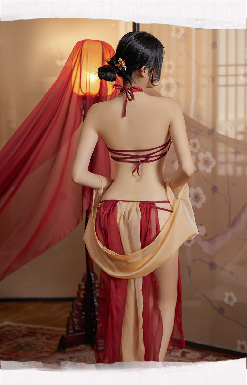 Hanfu-Inspired Palace Costume Set with Bellyband, Shawl, Gauze Skirt and Thong, Plus Size — detail image 14