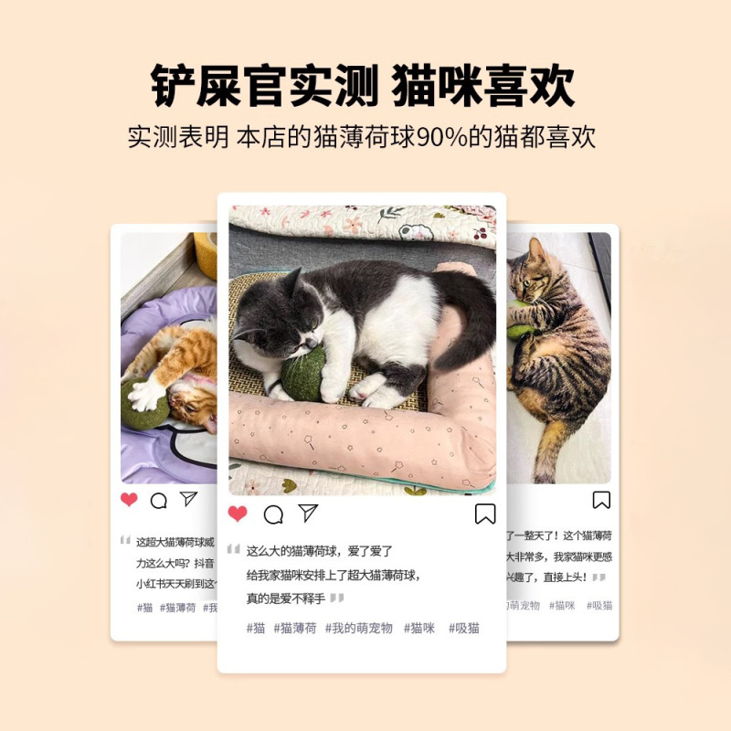 猫薄荷球超大猫玩具自嗨解闷神器磨牙猫草球逗猫棒猫咪用品逗猫棒|undefined