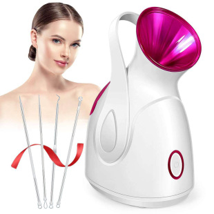 Cross-border New Hot and Cold Spray Face Steamer Spray Hydrating Meter UV Lamp Portable Face Humidifier Household Face Steamer