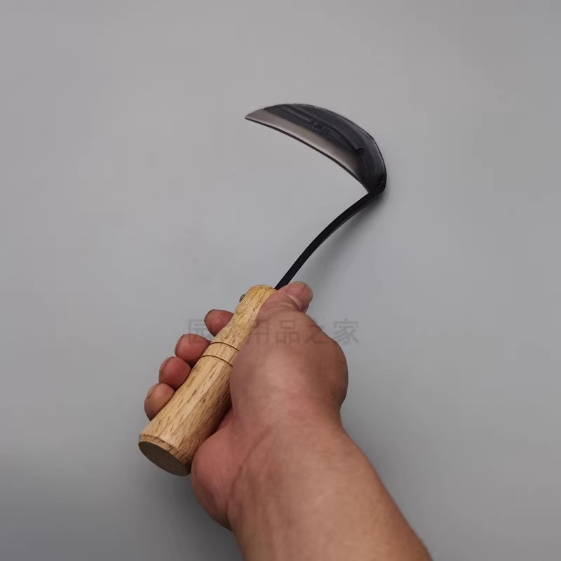 O1CN01RUN7Yb1S3zGDOVM4C_!!8051