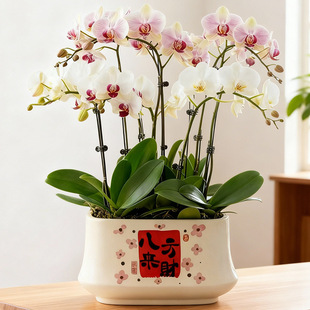 ���W�����մ��L���κ����m�Ӽ��������Gֲ���Դ�ڏ�ֲ���m����