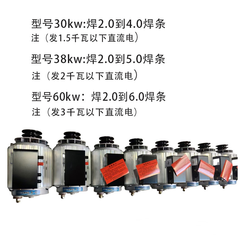 Factory In-Stock Generator 220V Dc Brushless Small Permanent Magnet Dual-Purpose Generator Outdoor Portable Generator