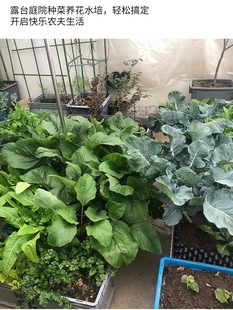 A6L������B�䎧�w�����B���ו�̨���L���������~���������D�ռ{