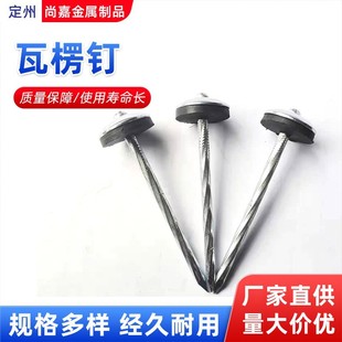 Corrugated Stainless Steel Cotton Tile Nail 3inch Umbrella-Shaped Gasket with Pictures and Samples Custom Wholesale Rubbing Straight Rod Large Head Cement Nail