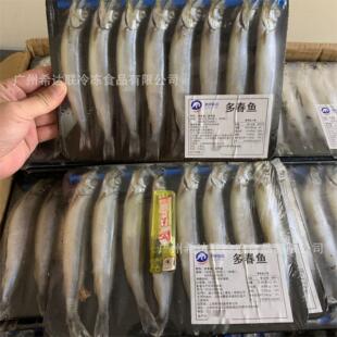 ����бP�ഺ�~ 160��8�l/�� ���ю���ഺ�~ ����ʳ���ك��ഺ�~