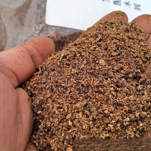 �����ɰl��ľм��ֳ�����x��ϼ��x��B�����|���@�׳��x�a����4L