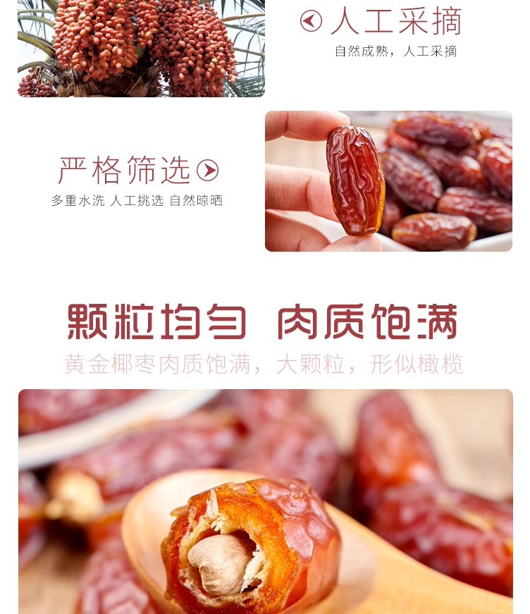 Dried Black Dates Jujube Dates Chinese Date Snack 250g Jar specifications