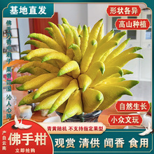 ������ֱ�l��������幩�^�pˮ��ʳ�ô�����r���փ��|���ָ�