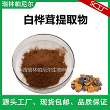 白桦茸提取物10:1 白桦茸粉 标准比例萃取  现货1KG起批