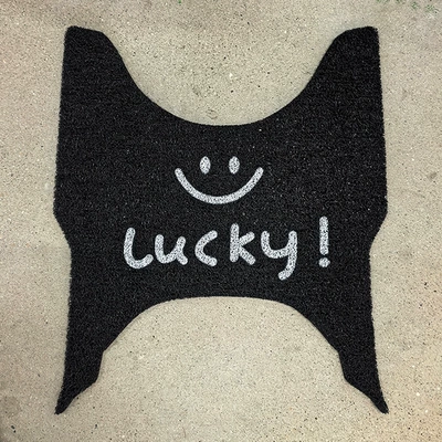 25 Models of 150Aura – Electric vehicle foot mat - smiley-face-spring-breeze-aura150