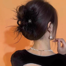 �����Y�߼�����ëץ�A�l��2025�¿���X�׸߶ˊA�Ӱll�A�^�Ů