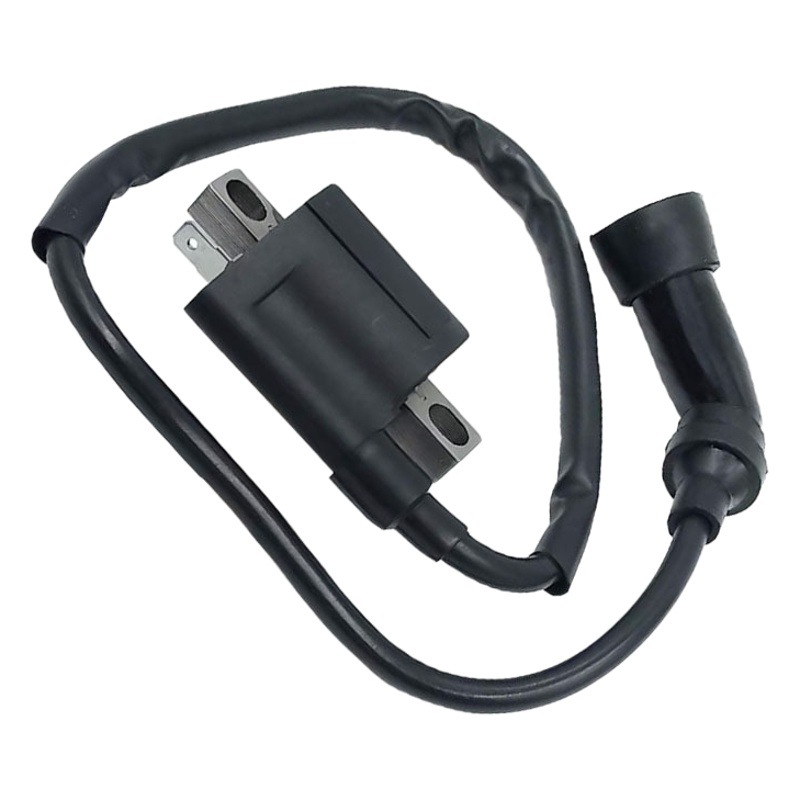 Accesorios de la bobina de encendido ATV para YFM 250 ATV 1999-2004