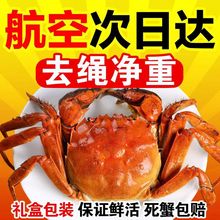 全母苏州螃蟹鲜活大闸蟹礼盒装湖蟹活蟹河蟹净重全母蟹可公蟹母蟹