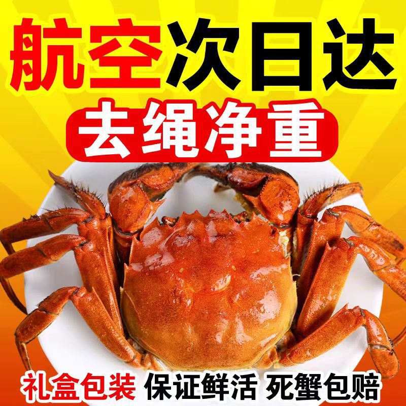 全母苏州螃蟹鲜活大闸蟹礼盒装湖蟹活蟹河蟹净重全母蟹可公蟹母蟹