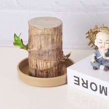 ����ľ�бP���üӺ��֬��ˤ������ˮ�B���\ľ�[��ˮ��ֲ�����