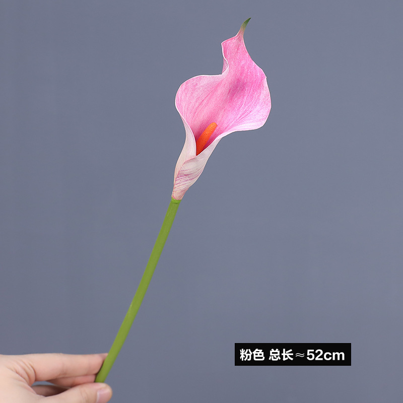 핑크 트럼펫 48cm