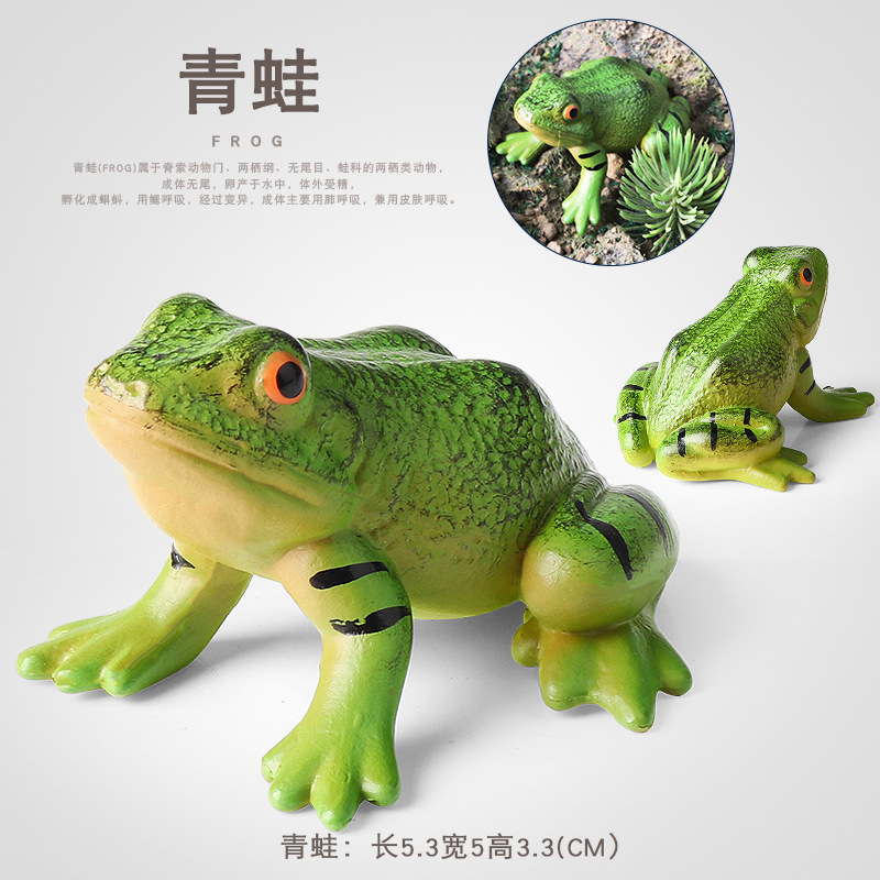 兒童仿真實心青蛙擺件模型庭院魚池魚缸盆景假山造景裝飾創意擺設