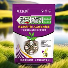 金针虫微生物肥土传抗重茬枯草苏云蔬菜土豆
人参地瓜蛴螬有机
