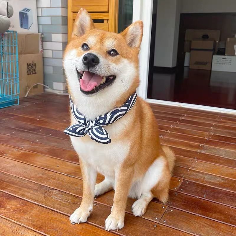 Pet Saliva Towel, Dog Triangle Scarf, Shiba Inu French Bulldog Scarf, Golden Retriever Scarf, Cat Scarf, Large, Medium and Small Size Dogs Scarf, Cute