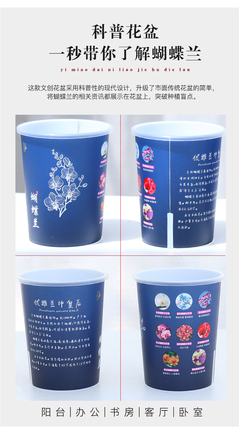 B03文创蝴蝶兰花盆系列_09.jpg