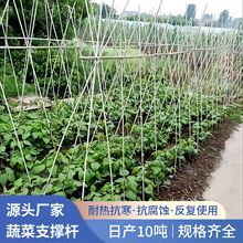 农用蔬菜瓜果园艺专用无碱玻璃纤维支撑杆花卉绿植防护支撑爬藤架