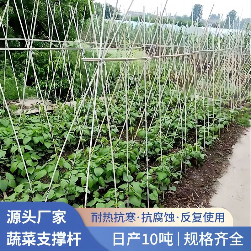 Agricultural vegetables, fruits, gardening special alkali-free glass fiber support Rod Flower green plant protection support vine climbing rack Agricultural vegetables, fruits, gardening special alkali-free glass fiber support Rod Flower green plant protection support vine climbing rack