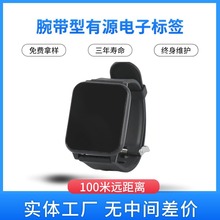 腕带型有源电子标签 RFID电子标签 远距离2.45GHz有源标签