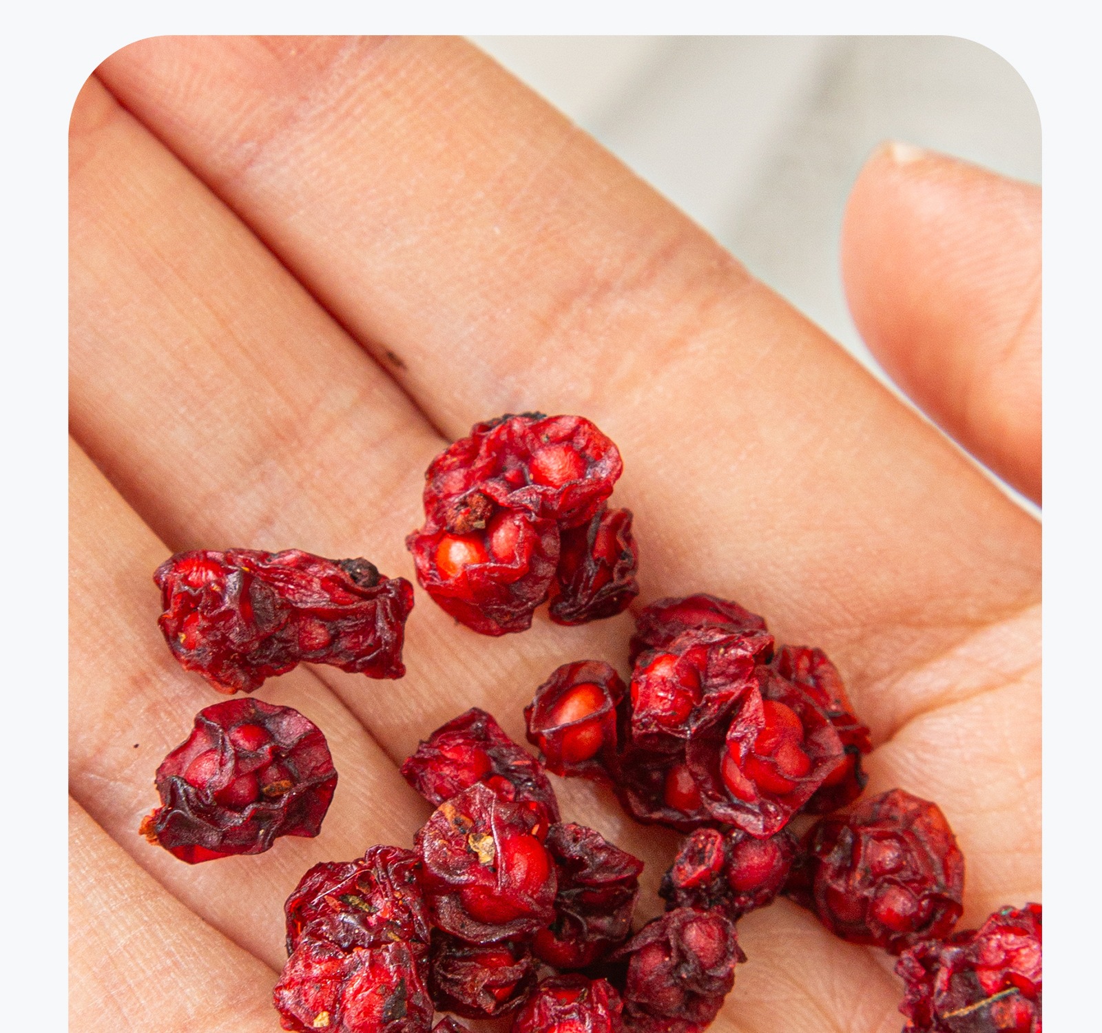Premium Changbai Mountain Schisandra Berries Wu Wei Zi Dried Whole Fruit 500g key features