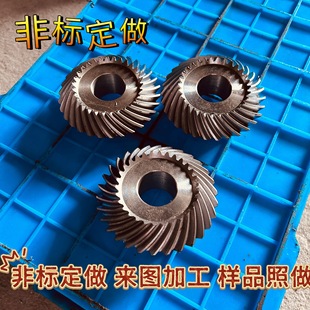 �������X�F�Xֱ�X�L�X��D�ǘ�б�Xɢ���p�X�݆�S