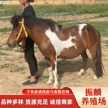 ���^�Z�����R ���w���_�R�T���õć��a���R�����T�ᰫ�R���U