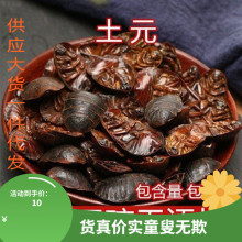 土元中药材500g土元干地鳖虫大个土鳖虫干粉中药材另有金边土鳖虫