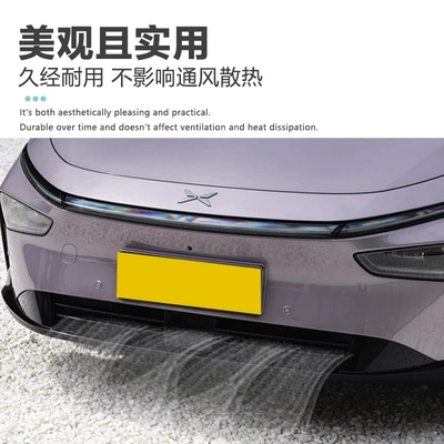 Protective Cover Modification Special – Automobile anti-insect net