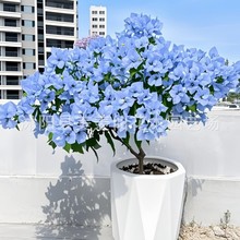 ���羳��؛������÷�N �~�ӻ��N�� ���Ե��Ի����ٱ��辰�ذ껨��