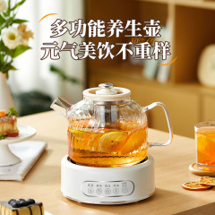 养生壶玻璃壶身多功能家用智能烧水壶高硼硅花茶壶办公室煮茶壶