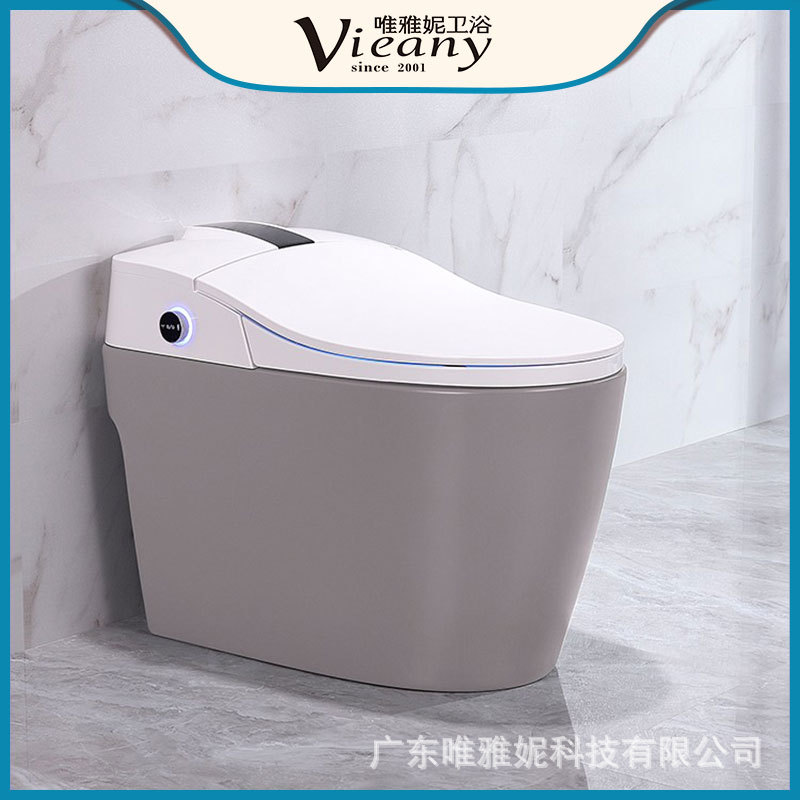 Inodoro inteligente gris mate automático integrado de secado y lavado inodoro con tanque de agua versión de alta gama