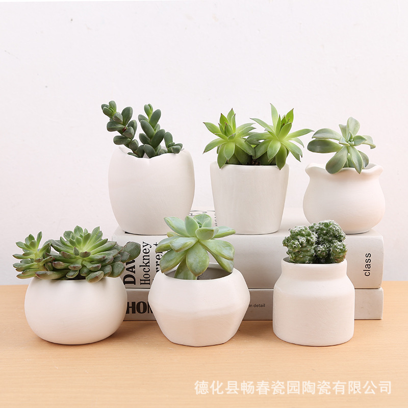 High-looking Simple Scandinavian ins Breathable, Water-absorbent and Easy to Color Internet Celebrity Plain-fired Ceramic Succulent Fresh Stoneware Flowerpot