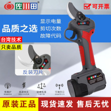 ������늄Ӽ�����������ʽ��֦���늳؈@�ּ��ӏ�����֦��֦�C