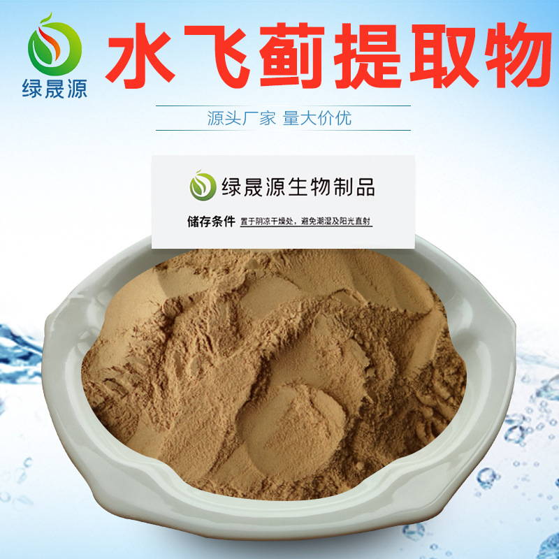 80%含量水飞蓟素 水飞蓟提取物 Silymarin 水飞蓟原料粉 厂家供应