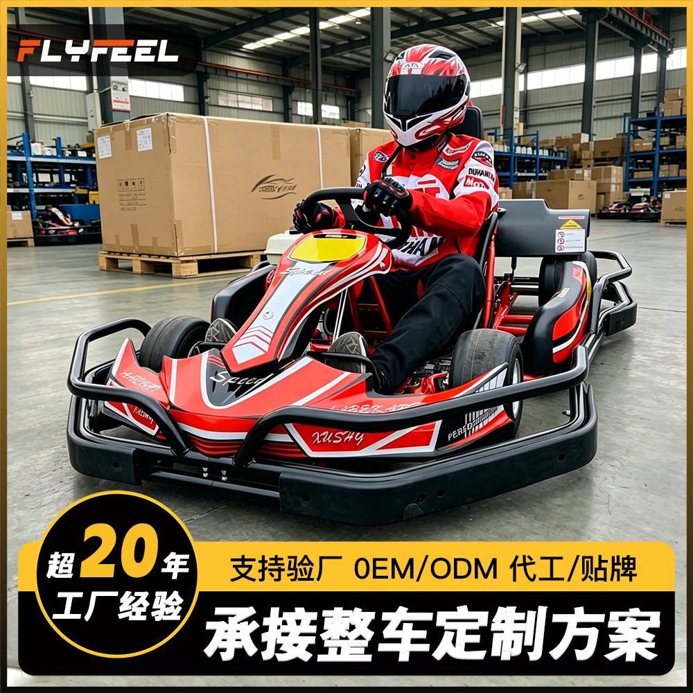 Go-Kart de Pista F1 de Hierro con Transmisión en Cadena para Parque de Atracciones image 1