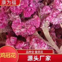 鸡冠花 中药材鸡冠花 白鸡冠花 红鸡冠花 代打粉 各种冷背 500克