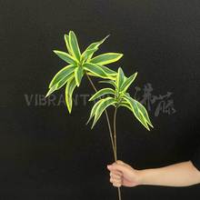 �p�^�ٺ���Ƶ�Ҿ�ܛ�b�쾰��ֲ��ɭϵ��Y���÷���Gֲ�羳���Q