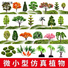 ��ˮʯ��ɽ��ˮʯ�辰ֲ��������ԾGֲ�٘������b�С�[�����