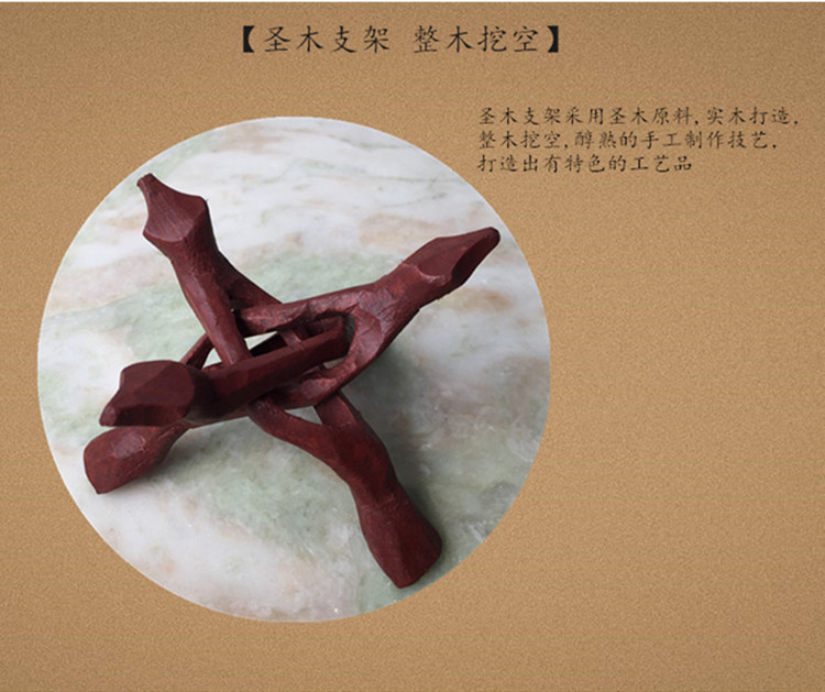 澳洲白鲍鱼贝壳大海螺创意家居摆件烧鼠尾草容器观赏鱼缸盆栽装饰 图 8