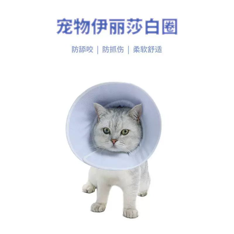 伊丽莎白圈宠物防护罩纯色莫兰迪色系棉质脖圈防咬脖套猫狗项圈