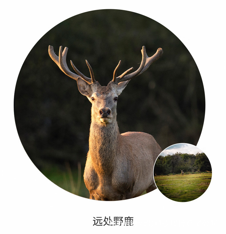 详情_13.jpg