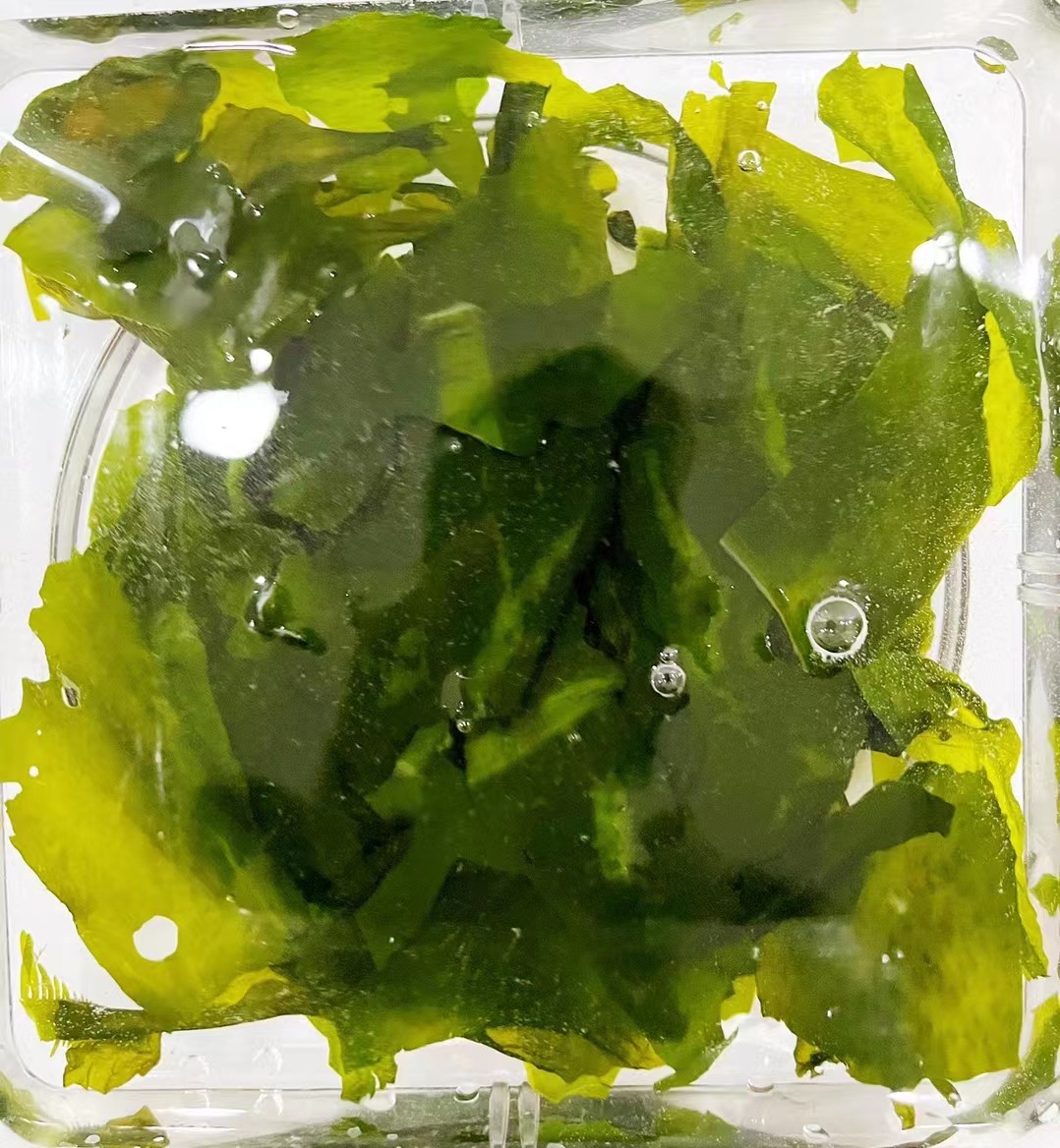 干裙带菜无沙干货 干燥海带裙海裙菜水产干货火锅煲汤关东煮食材-阿里巴巴