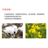 Кангпу бор бор жидкий бор. Улучшает бор. Отсутствие удобрения поверхности листьев пестицидов в боре